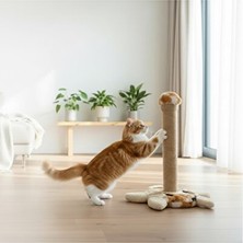 Velmora 40X40 cm Kedi Tırmalama Platformu ile Aktif Oyun Alanı | Kedi Tırmalaması