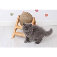 Velmora Kedi Tırmalama Oyuncağı - Eğlenceli ve Dayanıklı Tasarım | Kedi Tırmalaması