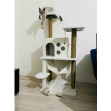 Velmora Temel Kedi Tırmalama Aksesuarı | Kedi Tırmalaması