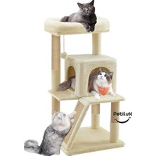 Velmora Dekoratif Teraslı Kedi Evi ile Güvenli ve Konforlu Oyun Alanı | Kedi Tırmalaması