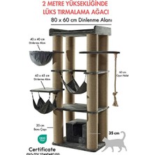 Velmora Irmalama ve Dinlenme Ağacı | Kedi Tırmalaması