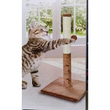 Velmora Pratik Kedi Tırmalama Tahtası, Dayanıklı ve Kullanışlı Tasarım | Kedi Tırmalaması