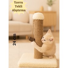 Velmora Yavru Kedi Içırmalama Tahtası - Krem Renkli ve Tekli Tasarım | Kedi Tırmalaması