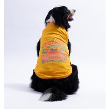Pawstar Sarı Crabby Beach Büyük Köpek Tişörtü - Köpek Kıyafeti (15 Kg-45 Kg)