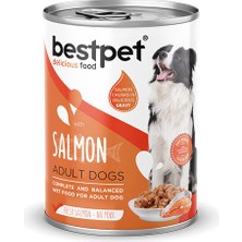 Bestpet Parça Etli Somon Etli Yetişkin Köpek Konservesi 400 gr