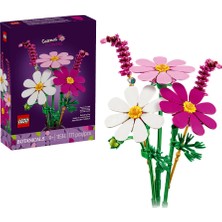 LEGO Botanicals Kozmos Çiçekleri 11514
