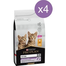 Proplan Pro Plan Kitten Junior Tavuklu Yavru Kedi Maması 1,5 kg x 4 Adet
