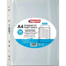 Bigpoint BP291 Poset Dosya Standart 40MIC 100LU