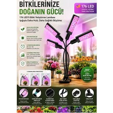 Velmora Zaman Ayarlı Çok Kollu LED Bitki Lambası, Bitkilerinize Işık Sağlar | Masa ve Gece Lambası