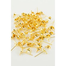 Gees Global 0,5 cm Halkalıkonik Çivi 250 Gram 2000 Adet