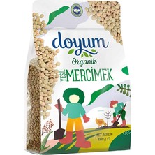 Doyum Organik Yeşil Mercimek 1 kg - Doğal ve Lezzetli Bakliyat 4'li Avantaj Paketi