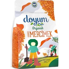 Doyum Organik Kırmızı Mercimek 1 kg - Güney Anadolu Lezzeti 4'li Avantaj Paketi