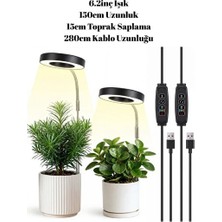 Velmora USB Bağlantılı Çok Modlu Bitki Yetiştirme Işığı | Masa ve Gece Lambası