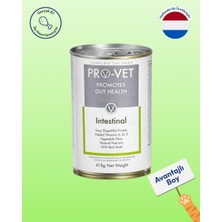 PRO-VET Intestinal Veteriner Gastrointestinal Kedi Yaş Maması 415 gr
