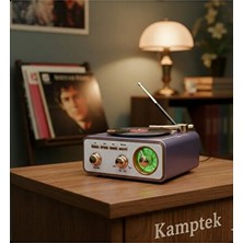 Lusenne Nostaljik Radyo: Plak Görünümlü Tasarımlı Fm Radyo ve Müzik Çalar