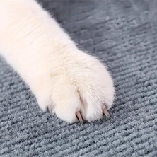 Lusenne Kedi Tırmalaması: Yapışkanlı Tırmalama Halısı, Duvar ve Ev Koruma Çözümü