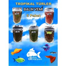 Atılım Akvaryum Tropikal Türler Için Balık Yemi 5 Paket Lepistes Tetra Vb. Balık Yemi