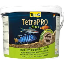 Tetra Pro Algae Crisps Otçul Balık Yemi 10 Lt Kova