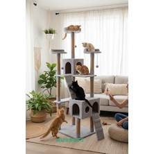 Lusenne Kedi Tırmalaması: Çok Katlı Tırmalama ve Oyun Evi, Çoklu Eğlence Alanı
