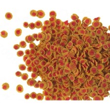 Tetra Pro Colour 100 gr Balık Yemi