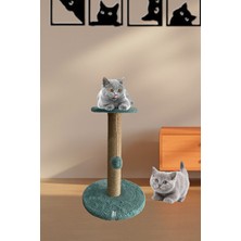Lusenne Kedi Tırmalaması: Stepli Kedi Tırmalama Tahtası, Sağlam ve Kullanışlı Tasarım