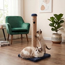 Lusenne Kedi Tırmalaması: Güçlü ve Uzun Öırmalama Tahtası