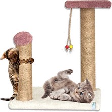 Lusenne Kedi Tırmalaması: Yavru Kedi Tırmalama ve Oyun Alanı ile Eğlence Dolu Anlar