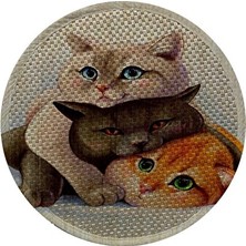 Lusenne Kedi Tırmalaması: Çift Taraflı Desenli Kedi Tırmalama Paspası, 36 cm Boyutunda