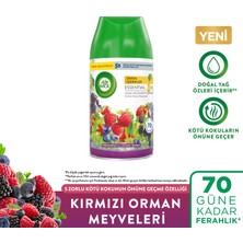 Air Wick Kırmızı Orman Meyveleri Oda Kokusu Freshmatic Yedek Spreyi, 250ML