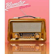 Lusenne Nostaljik Radyo: Bluetooth ve Müzik Çalar Özellikli , Şık Tasarım
