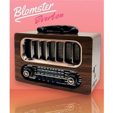 Lusenne Nostaljik Radyo: Everton Usb/sw/bt Radyo Müzik Çalar, Retro ve Çok Fonksiyonlu Tasarım