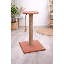 Lusenne Kedi Tırmalaması: Yüksek Platformlu Tırmalama Alanı