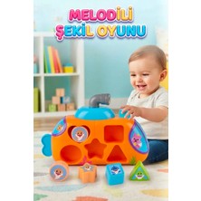 Farbu Oyuncak Baby Shark Melodili Şekil Yerleştirme Müzikli İşitsl Beceri Destekleyen Eğitici Bul Tak Oyuncak