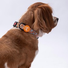 Pawstar Pizza Desenli Köpek Boyun Tasması Ayarlanabilir Köpek Tasması