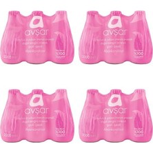 Avşar Greyfurt Yaban Mersini 24*200ML