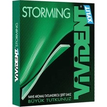 Vivident Storming Nane Aromalı Sakız 33 gr *18'li