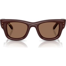 Ray-Ban 4940 687773 50 Güneş Gözlüğü