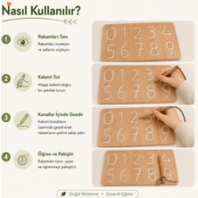 Montessori Gemisi Montessori İz Tablası Rakamlar | Ahşap İz Tablası | Rakam İzleme Tahtası | Yazıya Hazırlık ve Kalem Kontrolü Eğitim Materyali | Ahşap Oyuncak | Okul Öncesi Eğitim Materyali