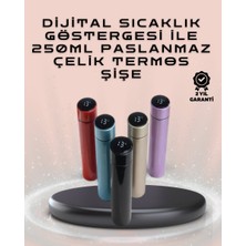 Belirtilmemiş 250ML LED Ekranlı Paslanmaz Çelik Akıllı Termos