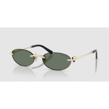 Tiffany 0TF3119D 623882 56 Unisex Güneş Gözlüğü