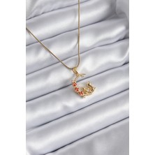 Rafiel 316L Çelik Gold Renk Hilal Kedi Model Zirkon Taşlı Detay Kadın Kolye