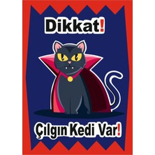 Mediwiz Dikkat Kedi Var 35X50 cm Dekota 3 mm