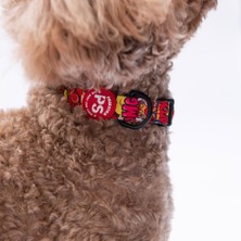 Pawstar Wow Popart Desenli Köpek Boyun Tasması Ayarlanabilir Köpek Tasması