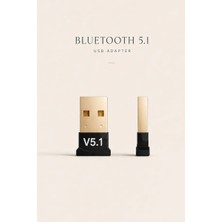 Bluetooth 5.1 Adaptörü USB Dongle Kablosuz Ses Alıcı Verici Mini