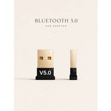 Bluetooth 5.0 Adaptörü USB Dongle Kablosuz Ses Alıcı Verici