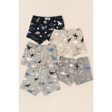 Bony Socks Erkek Çocuk 5'li Dinozor Desenli Boxer