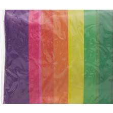 Livizmir Moda Bermuda Kolluk Gökkuşağı Desenli 30X15 cm 47029 C