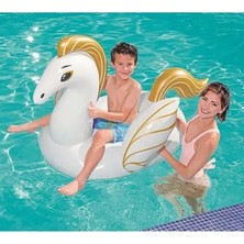 Byanes Pegasus Binici 159 x 109 cm