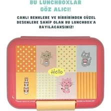 Livizmir Moda 1600ML Lunchbox Sevimli Kedi Desenli Tek Katlı 2 Bölmeli Pp Plastik Sefer Tası Yemek Kutusu