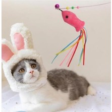 Frefly Store 90 cm Uzunluğunda Balıklı Kedi Oyun Oltası, Dikkat Çekici